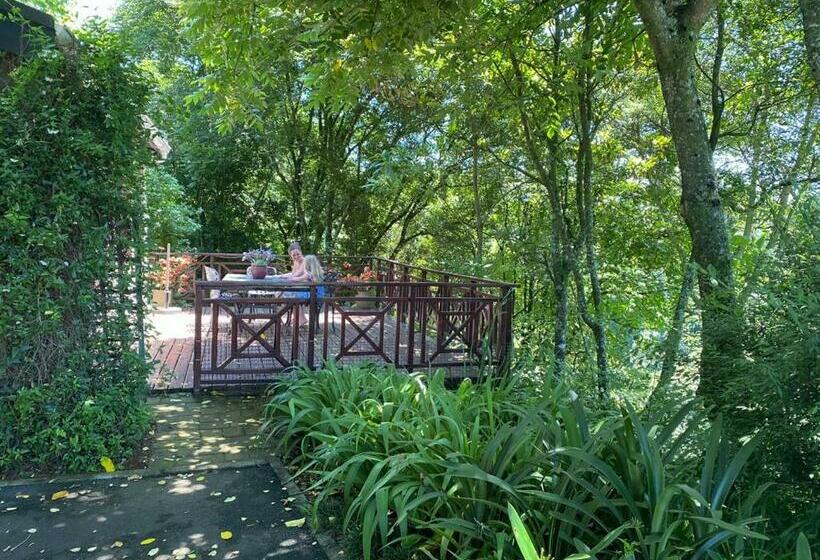 Bed and Breakfast Cabbage Tree Cottage