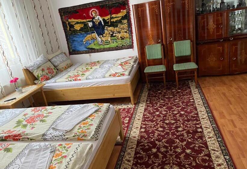 پانسیون Camere De închiriat Floarea Reginei