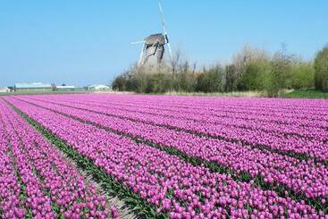 B&b De Keinsmer