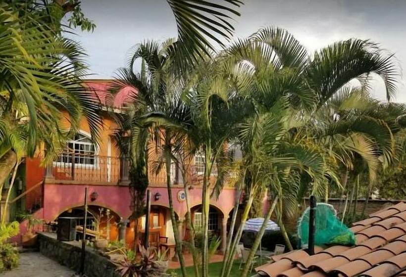 فندق Casa Corita