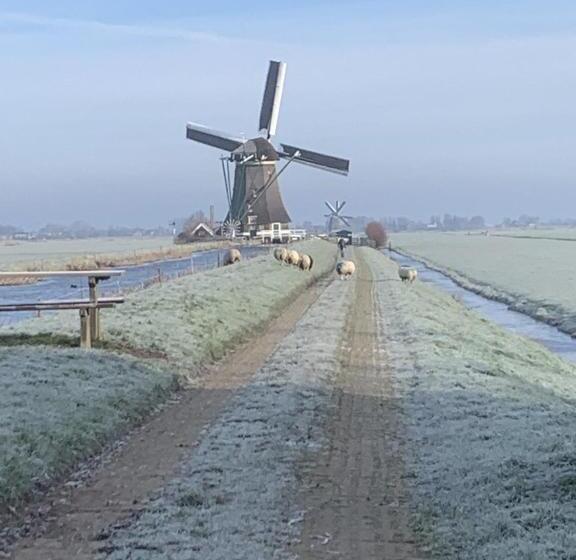 צימר Aangenaam Op De Rijn, Woonboot, Inclusief Privé Sauna