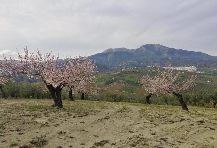 住宿加早餐  Casa Proyecto Pepe Bravo   Arte De Manos Y Corazón