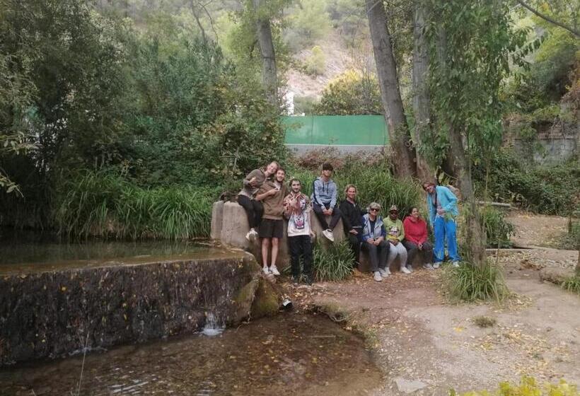 住宿加早餐  Casa Proyecto Pepe Bravo   Arte De Manos Y Corazón