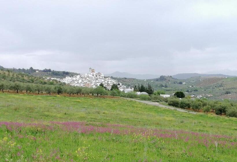 住宿加早餐  Casa Proyecto Pepe Bravo   Arte De Manos Y Corazón