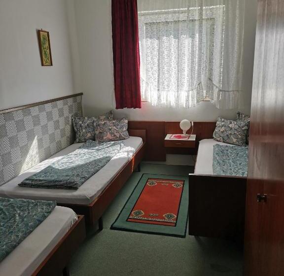 민박 Villa Negra Retro Panzió