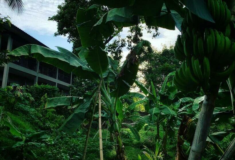 Hotel Green Pepper Garden