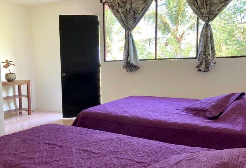 بنسيون Coco Viejo Posada