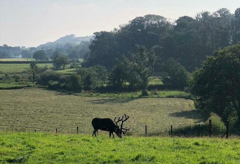 펜션 The Reindeer Retreat Buttercup Twin