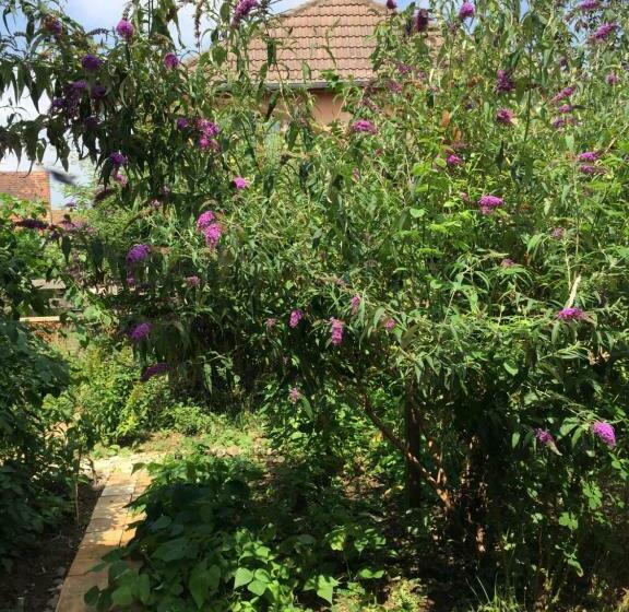 住宿加早餐  Chambre Spacieuse Dans Joli Village Alsacien