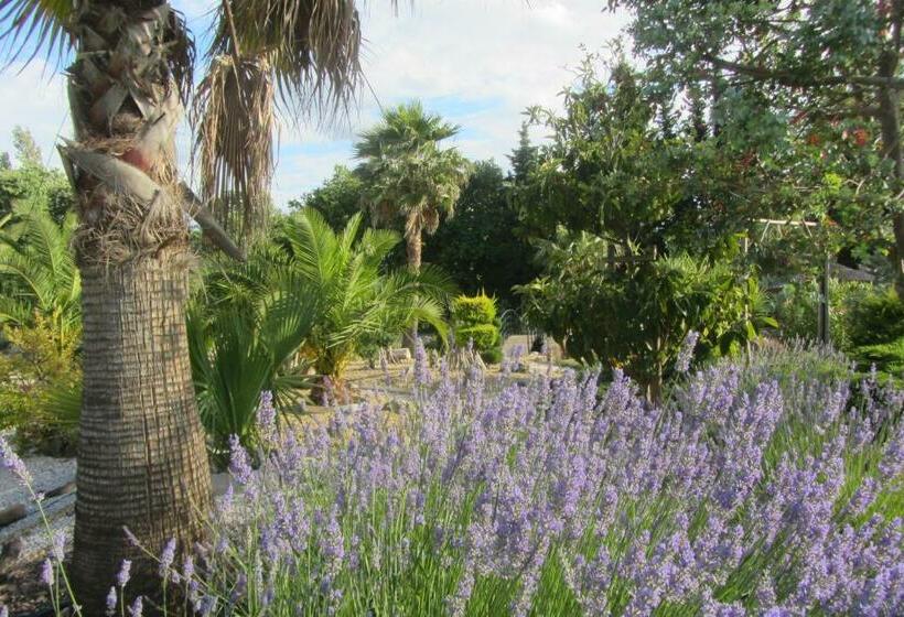 ベッドアンドブレックファースト La Palmeraie