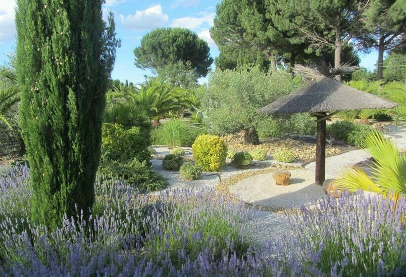 ベッドアンドブレックファースト La Palmeraie