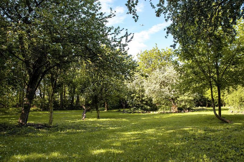 酒店 Hilton London Heathrow Airport Terminal 5