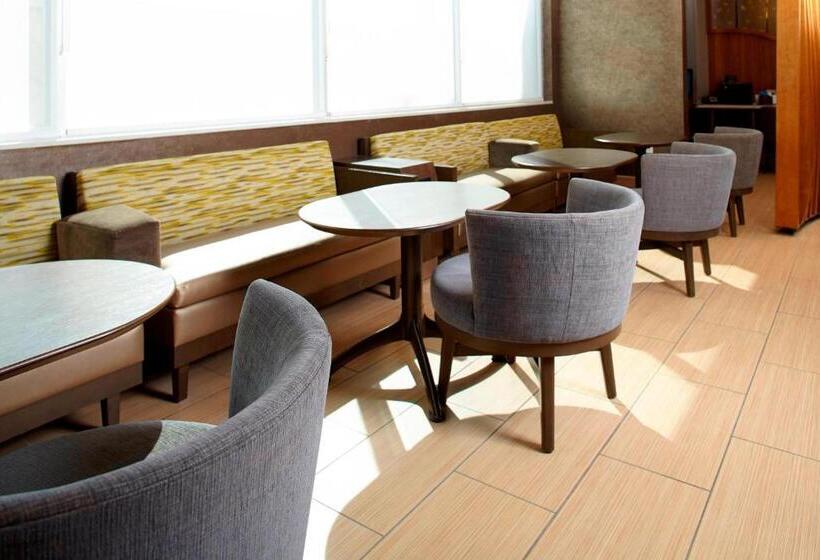 Springhill Suites Houston Intercontinental Airport