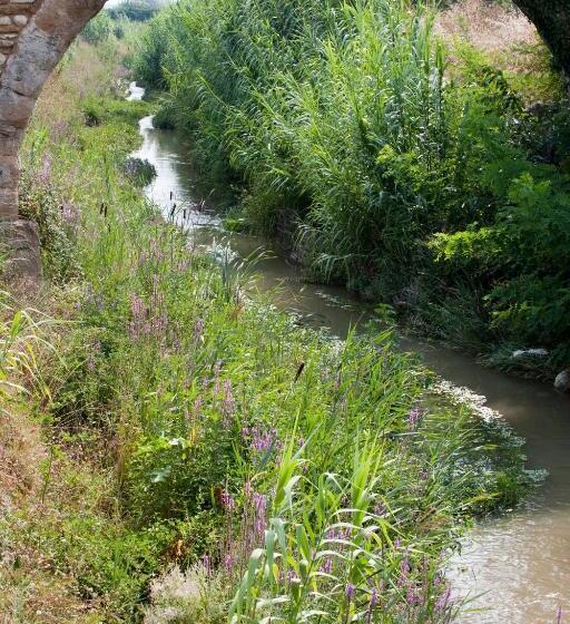 Vacanceole  Residence Les Demeures Du Ventoux
