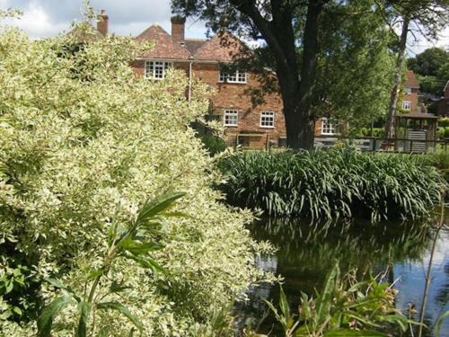 فندق صغير The Pelican Inn