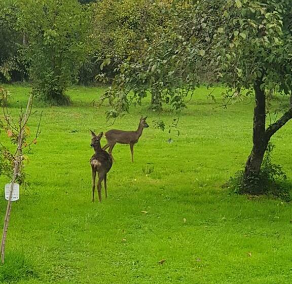 민박 Domaine Mon Doux Rêve