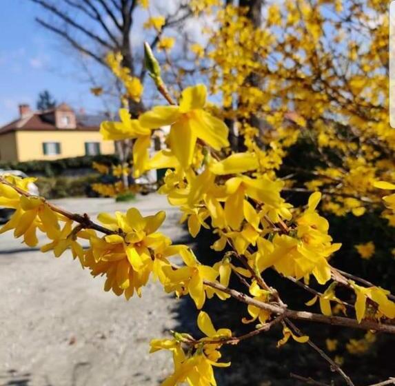 تختخواب و صبحانه Bed&breakfast Villa Camilla