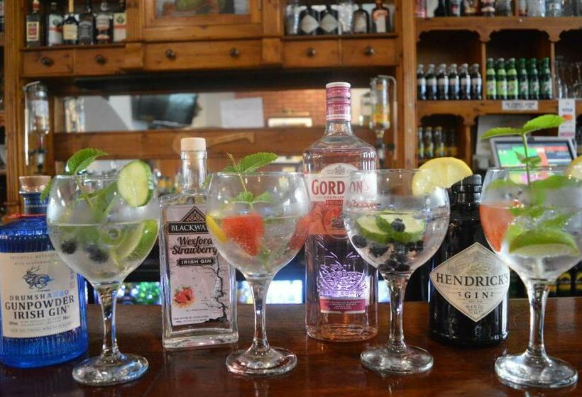 بنسيون Maid Of Erin Guesthouse