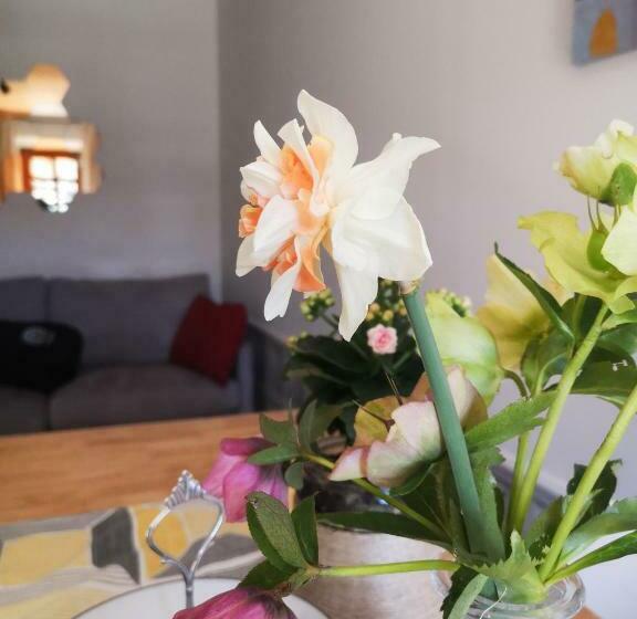 צימר Antico Pozzo