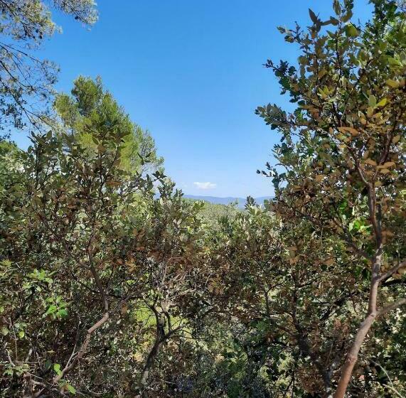 ペンション Cabane Dans Les Arbres La Kaz Aux Cigales