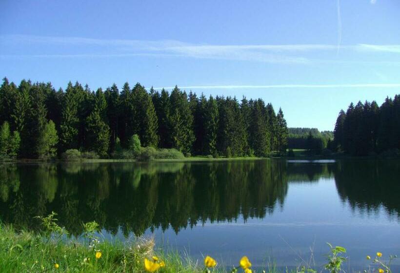 فندق صغير Flambacher Mühle