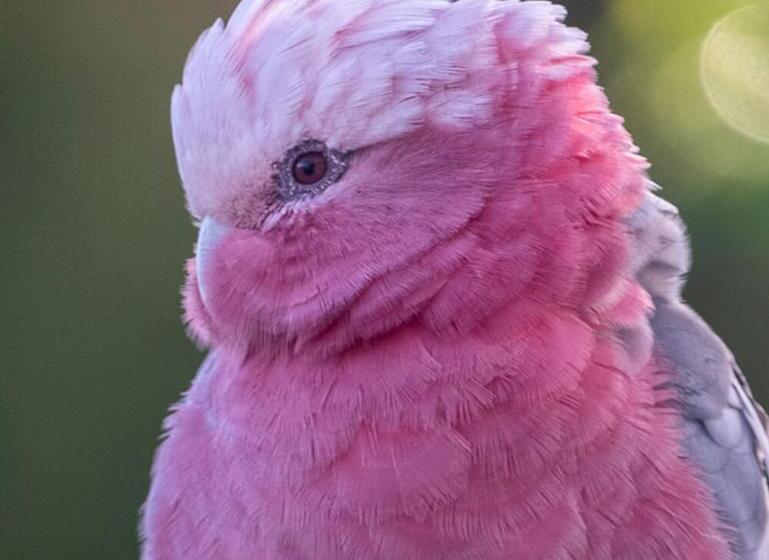 مبيت وإفطار La Dolce Vita