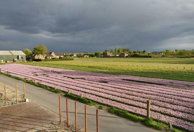 צימר Tulpenhoek