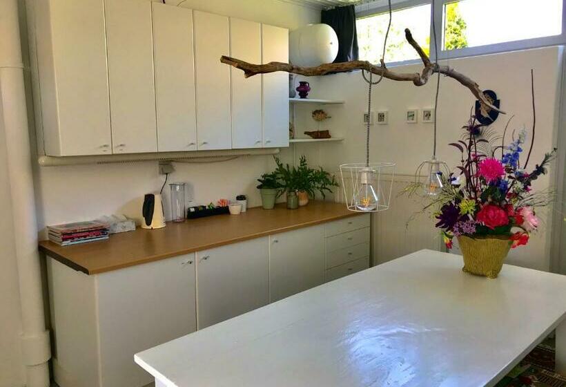 פנסיון De Vlies