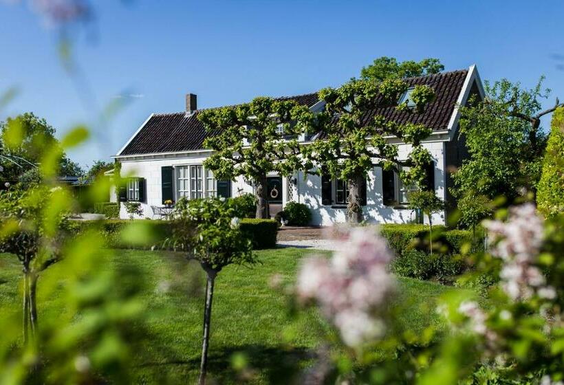 B&b Wilhelmina S Cottage