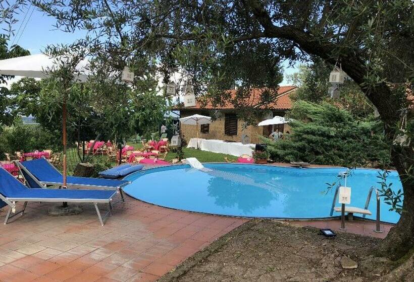 Bed and Breakfast Villa Di Charme Con Piscina E Jacuzzi Tra Roma E Viterbo