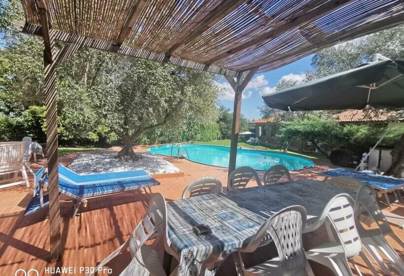 Bed and Breakfast Villa Di Charme Con Piscina E Jacuzzi Tra Roma E Viterbo