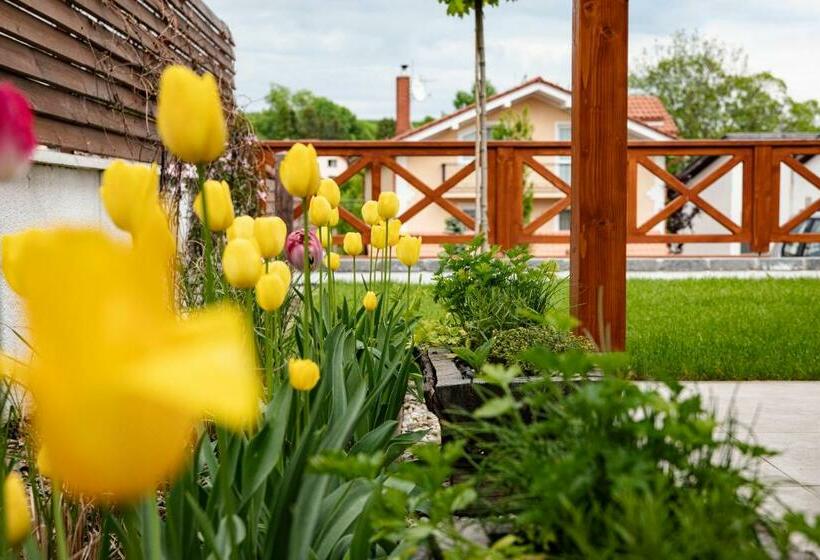 פנסיון Chalet Nova Lesna Mountain View