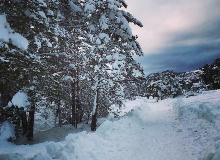 פנסיון Roulotte De Florette