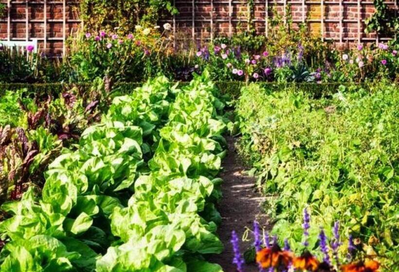 פנסיון Roulotte De Florette