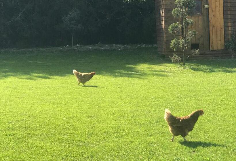 פנסיון Roulotte De Florette