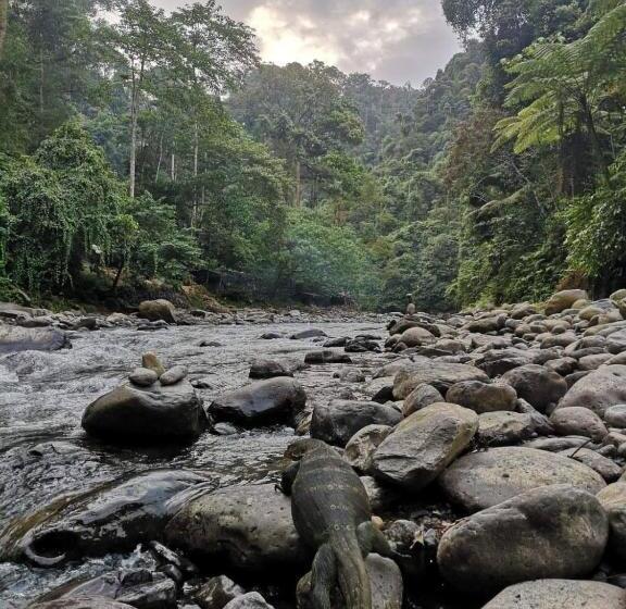 استراحتگاه Gino S Place   Guest House & Jungle Trekking