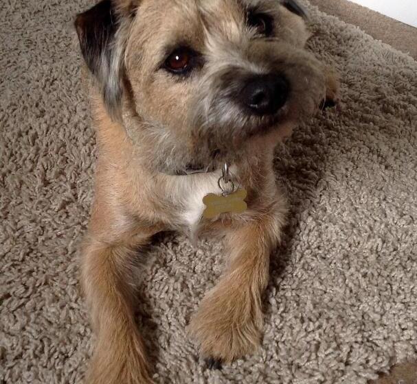 Tawburn House Boutique B & B