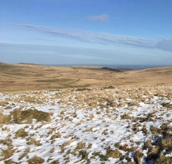 Tawburn House Boutique B & B