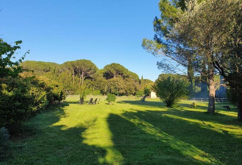 Bed and Breakfast Aux Berges Du Pont Du Gard