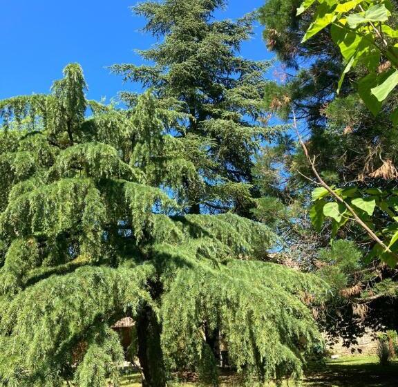 Bed and Breakfast Le Clos De Quintaine Chambres D Hôtes