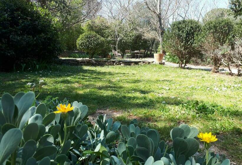 Bed and Breakfast Aux Berges Du Pont Du Gard