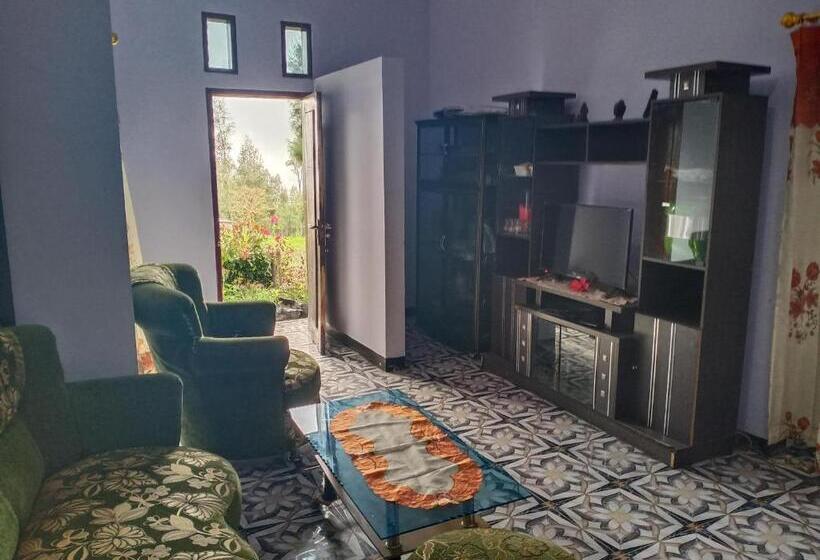 بنسيون Elen Homestay By Abm