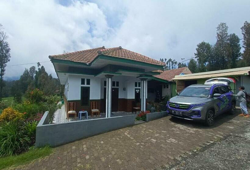 بنسيون Elen Homestay By Abm