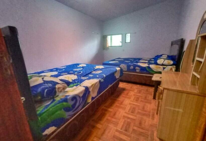 بنسيون Elen Homestay By Abm