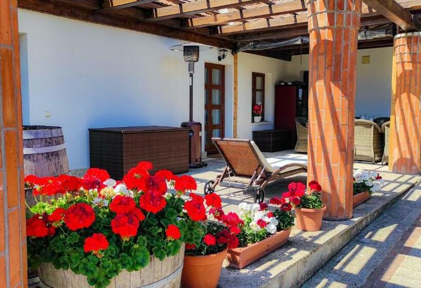 פנסיון Orosz Gábor Vendégház Mád