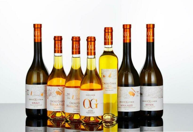 펜션 Orosz Gábor Vendégház Mád