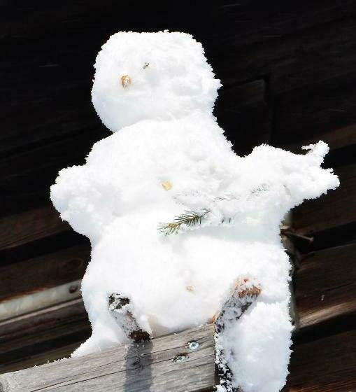 ユースホステル Viehberghütte