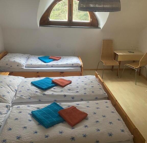 ユースホステル Viehberghütte