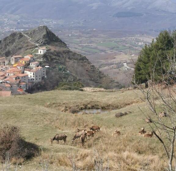 B&b Petra Castalda