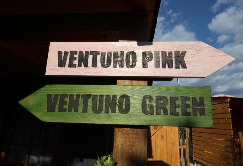 B&b Ventuno Iun0058
